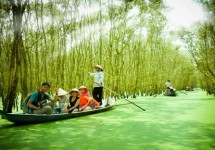 Tour Du Lịch Đồng Tháp Mùa Nước Nổi 2 Ngày 1 Đêm